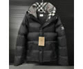 BURBERRY Mens Jacket Down Best quality