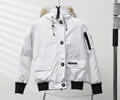 Canada Goose Womens Parka 02 Wolf fur