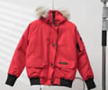Canada Goose Womens Parka 02 Wolf fur