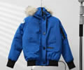 Canada Goose Womens Parka 02 Wolf fur