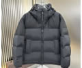 LV Down Mens Jacket best quality