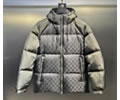 LV Down Mens Jacket best quality