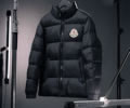 Moncler Citala Mens Down Jacket best quality