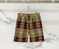BURBERRY Mens pants best quality