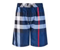BURBERRY Lovers pants best quality