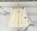 DIOR Lovers pants best quality