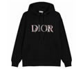 DIOR Lovers Hoodies best quality