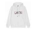DIOR Lovers Hoodies best quality
