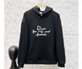 DIOR Lovers Hoodies best quality