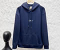 DIOR Lovers Hoodies best quality