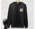 LOEWE Lovers Hoodies best quality