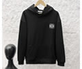 LOEWE Lovers Hoodies best quality