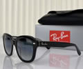 RAYBAN Model RB4398 ERIK , Size 53-20-140 (glasses lens) best quality 1:1