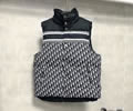 DIOR Lovers vest Down Best quality