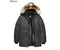 Canada Goose Fusion Fit Chateau Men Down Jacket Wolf hair