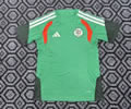 Algeria Training Soccer Jersey 26 27