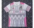 Mexico Special Soccer Jersey 25 26
