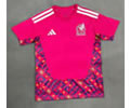 Mexico Goalkeeper Soccer Jersey 25 26