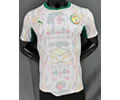 Player Version Senegal Home Soccer Jersey 25 26