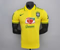 Brazil POLO soccer shirt