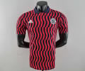 22-23 Bayern red-black stripe POLO soccer shirt