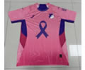 Germany League Hoffenheim Special Soccer Jersey 25 26