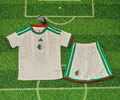 Kids Algeria Home Soccer Uniform 25 26