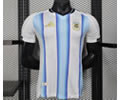 Player version 2026 Argentina home soccer jersey