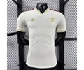 Player version 25-26 Flamengo third soccer jersey