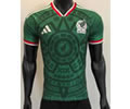 Player Version Mexico Home Jersey 25 26