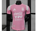 Player version 25-26 Argentina pink training jersey