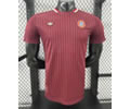 Player version 24-25 Bayern red T-shirt jersey
