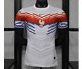 Player Versoin France Soccer Jersey 26 27