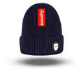 Supreme winter cap
