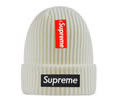 Supreme winter cap