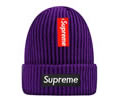 Supreme winter cap