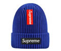 Supreme winter cap