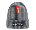 Supreme winter cap
