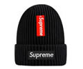 Supreme winter cap
