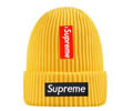 Supreme winter cap