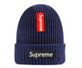 Supreme winter cap