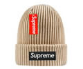 Supreme winter cap