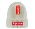 Supreme winter cap