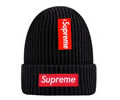 Supreme winter cap