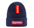 Supreme winter cap