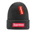 Supreme winter cap