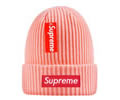 Supreme winter cap