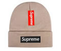 Supreme winter cap
