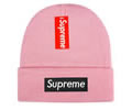 Supreme winter cap