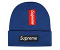 Supreme winter cap
